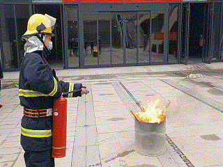 4.gif
